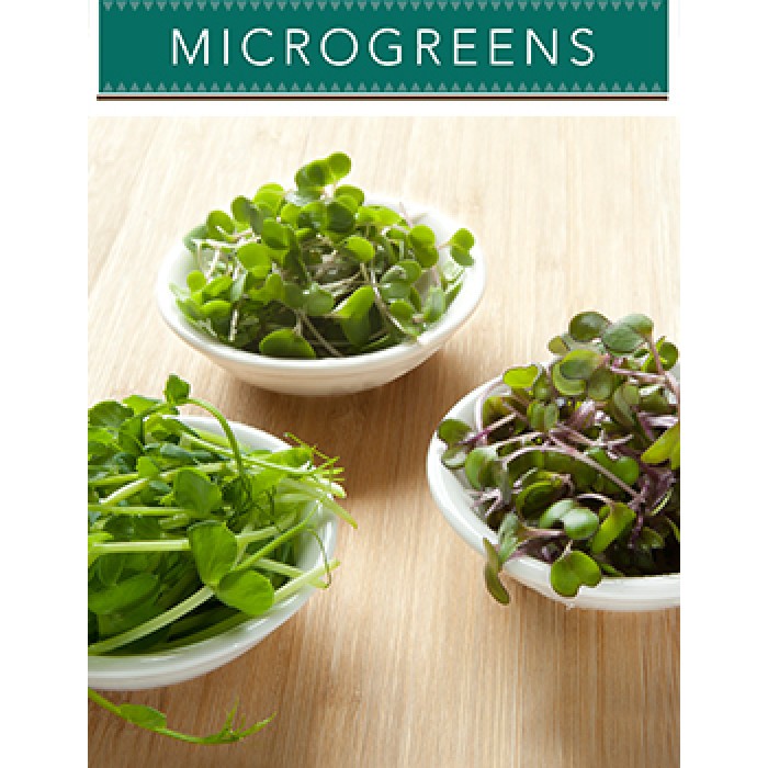 Microgreens Flavours of Eastern europe image